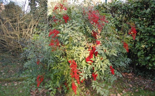 On sale beautifull villa with a large garden