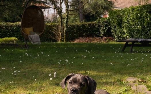 Casatenovo, Ampia Villa in Vendita con Possibilità di Ristrutturazione Inclusa