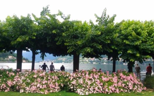 Investimento Immobiliare a Cernobbio: Monolocale Ideale per Affitti Turistici sul Lago di Como