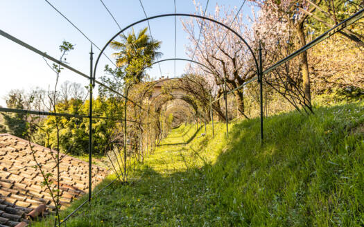 Villa di Prestigio in Vendita vicino a Como